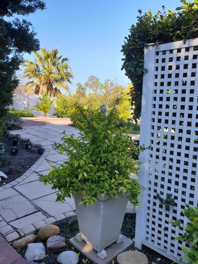 Roosboom Guest Apartments Somerset West Luaran gambar